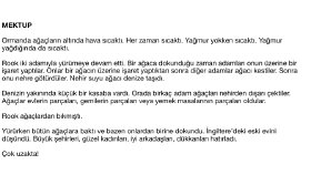 İngilizce > Türkçe hikaye çevirisi