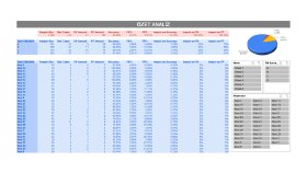 Özel Veri Analiz Dashboard Çalışması