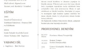 Cv tasarımı