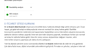 Website  İçeriği
