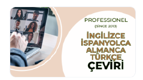 Site çevirim