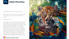 adobe photoshop 2024 + native instruments kurulum