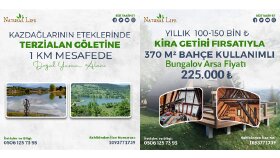 Sosyal Medya Post Tasarımı