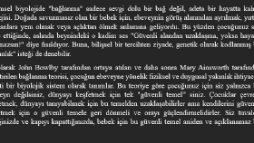 YouTube Belgesel Script Düzenleme ve Yeniden Yapılandırma