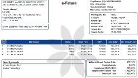 e-Fatura ve e-Arşiv Tasarımı