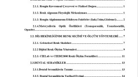 Bitirme Tezi - Düzenleme