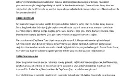 SEO Uyumlu Tanıtım Amaçlı Makale Örneklerim