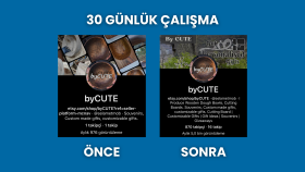 Pinterest Çalışması (30 Günlük)