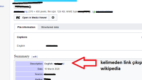 Wikipedia çalışması