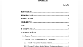 Tez düzenleme 