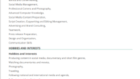 Profesyonel CV Tasarım / İçerik