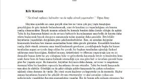 Roman Çalışması