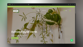 Duvar Çiçekleri | Dekoratif Duvar Saksıları | Wix Studio