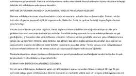 hastane enfeksiyonu ile ilgili 1000 kelimelik metin yazımı