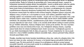 Çeviri