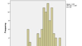 SPSS Analizi