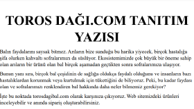 SEO Uyumlu Makale