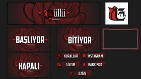 Özel twitch kanal tasarımı