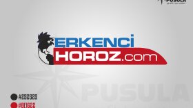 Erkenci Horoz - Kurumsal Logo Tasarımı