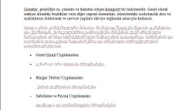 Türkçe-Gürcüce Çeviri