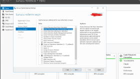 Active Directory ve Dosya paylaşım sistemi kurulumu