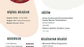 Cv Tasarımı