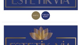 EstetikVia - Logo/Tabela Çalışması