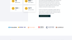 Özel Tasarım Web Sitesi 