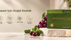 Web Site Banner