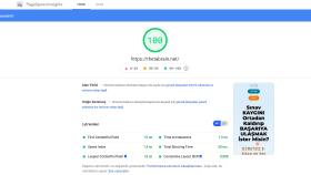 Pagespeed mobil ve masaüstü puan yükseltme hizmeti