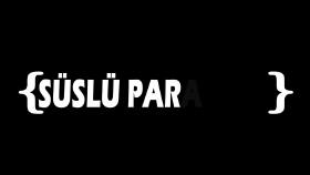 Resmî çalışmalar