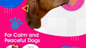 Dogs