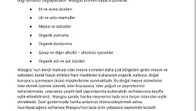 Makale yazarı 
