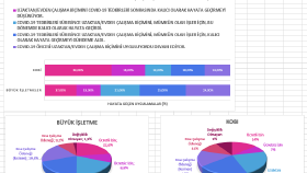 İstihdam-İşsizlik, Pandemi ve Kadın Çalışanlarda Etkileri