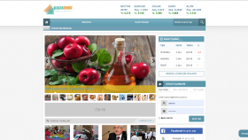 Wordpress