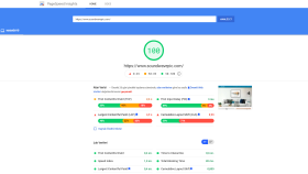Google Pagespeed Insights Website Hızlandırma hizmeti