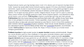Metin Yazarlığı