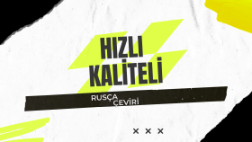 Web Sitesi Çeviri