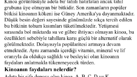 Web Sitesi İçeriği