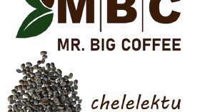 mr.bigcoffee.com