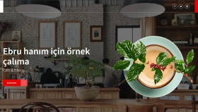 Psd Tasarımı