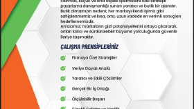 Fikirmax broşür tasarımı
