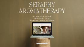 Seraphy - Spam Koruma, WordPress Güvenlik, Hata Giderimi