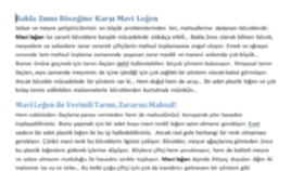 Metin Yazarlığı
