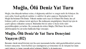 SEO Uyumlu Makale