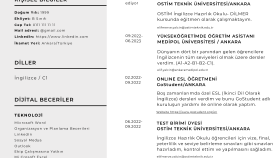 CV Tasarımı