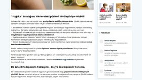 Tanıtım yazısı yayını