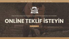 Kurumsal Wordpress Sitesi Özelleştirme