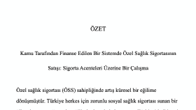 Tez Çevirisi