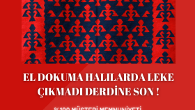 Profesyonel Temizlik